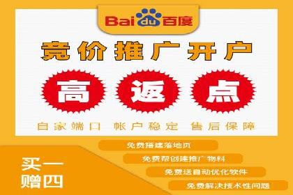 成功运用SEM服务实现品牌快速成长的案例